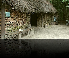 Boerentuin houtkot